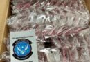 Almost 5,000 Earrings Retailing for $1.3M Seized by Louisville US CBP