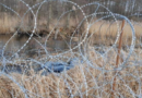 Polish Border Guards detain 78 illegal migrants