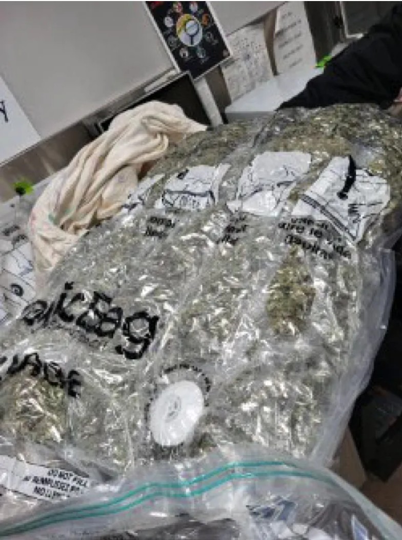 US CBP Officers seize 42 pounds of Marijuana, California man arrested ...