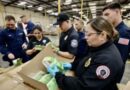 Operation Red Mist: US CBP, federal partners seize millions of illegal e-cigarettes in maritime cargo