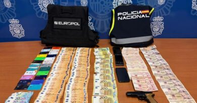 8 arrested in a hit against criminal network smuggling Cuban nationals into Spain