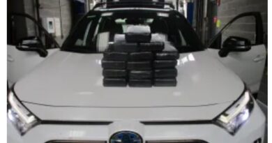 US CBP officers seize over 40 pounds of cocaine at the San Ysidro Port of Entry US CBP officers seize over 40 pounds of cocaine at the San Ysidro Port of Entry
