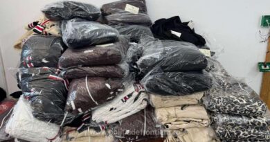 BLITZ actions: goods worth over 1,200,000 lei, discovered by border police