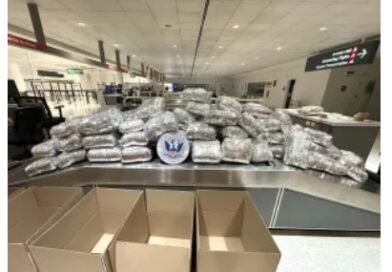 US CBP officers spook traveler; seize 412 pounds of khat in left behind and late baggage at BWI airport