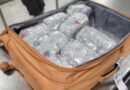 US CBP officers seize 368 pounds of khat, MWAA Police arrest traveler