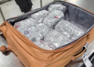 US CBP officers seize 368 pounds of khat, MWAA Police arrest traveler