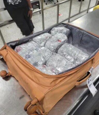 US CBP officers seize 368 pounds of khat, MWAA Police arrest traveler