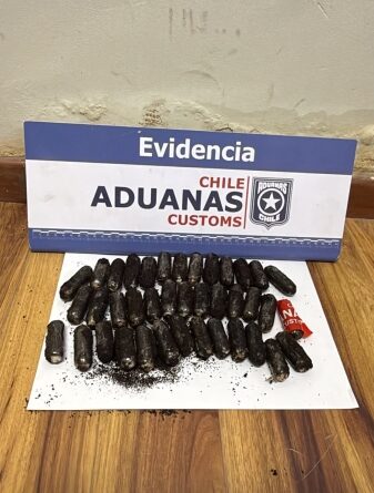 Chilean Customs adds new drug seizures in Ollagüe and detects more than 7 kilos in three operations