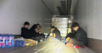 Twelve foreign citizens discovered hidden in a truck with peanuts in Romania