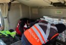 They were intended for sale during the holidays: Chilean Customs intercepts more than 150 kilos of cocaine in Quillagua