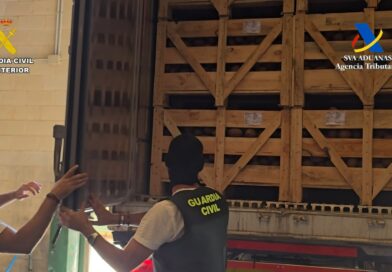 1,283 kilos of cocaine intercepted hidden in a shipment of coconuts in Seville