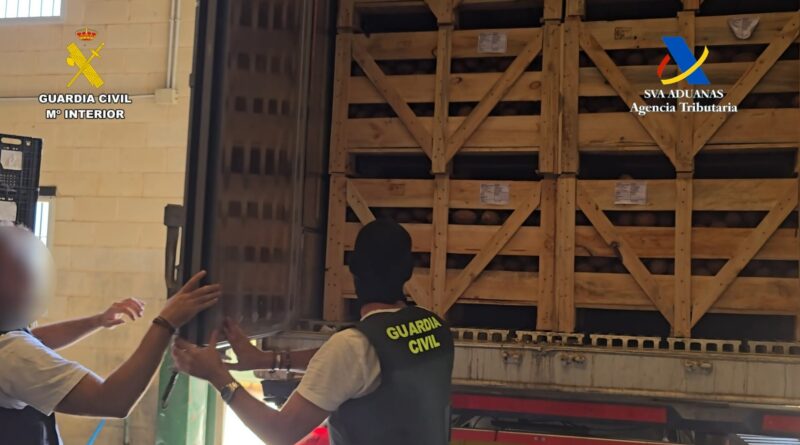 1,283 kilos of cocaine intercepted hidden in a shipment of coconuts in Seville