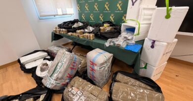478 kilos of hashish seized hidden in a truck on the AP-15 in Navarra 478 kilos of hashish seized hidden in a truck on the AP-15 in Navarra