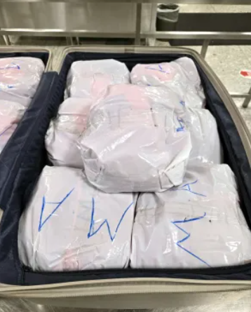 New York man arrested after CBP officers seize 65 pounds of khat in passenger baggage at Dulles Airport