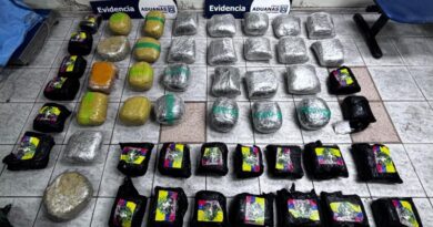 In Chile, 266 kilos of marijuana were seized in Avanzada El Loa