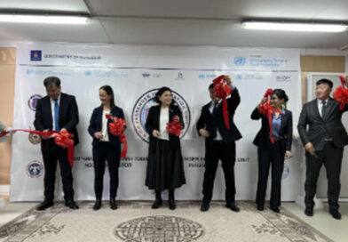 Preventing Crime at Borders with United Nations Support: How Mongolia Uses Passenger Data to Stop Threats in Real Time